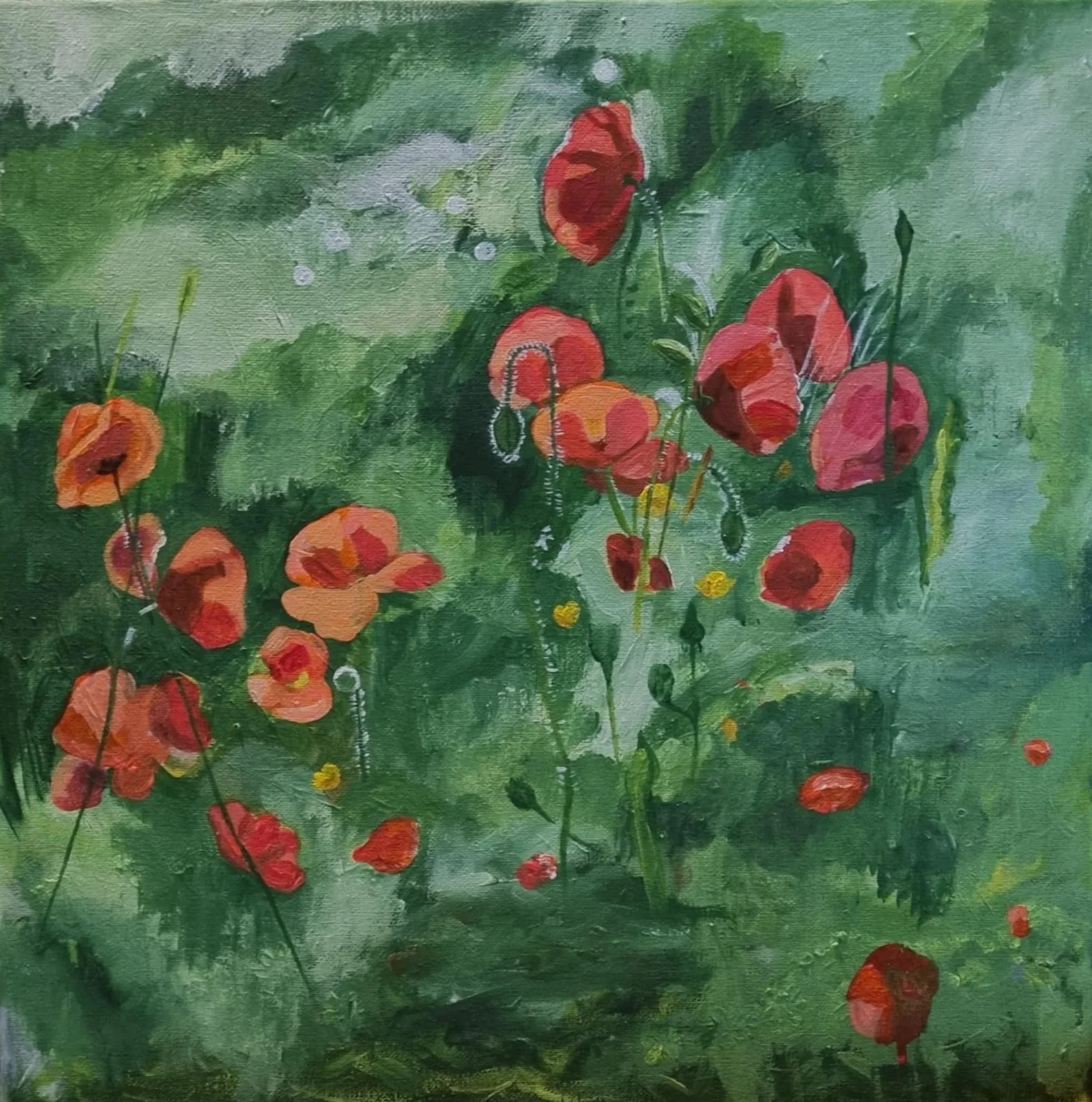 Akrylmålning Vild vallmo i Andalusien av Helena Omfors