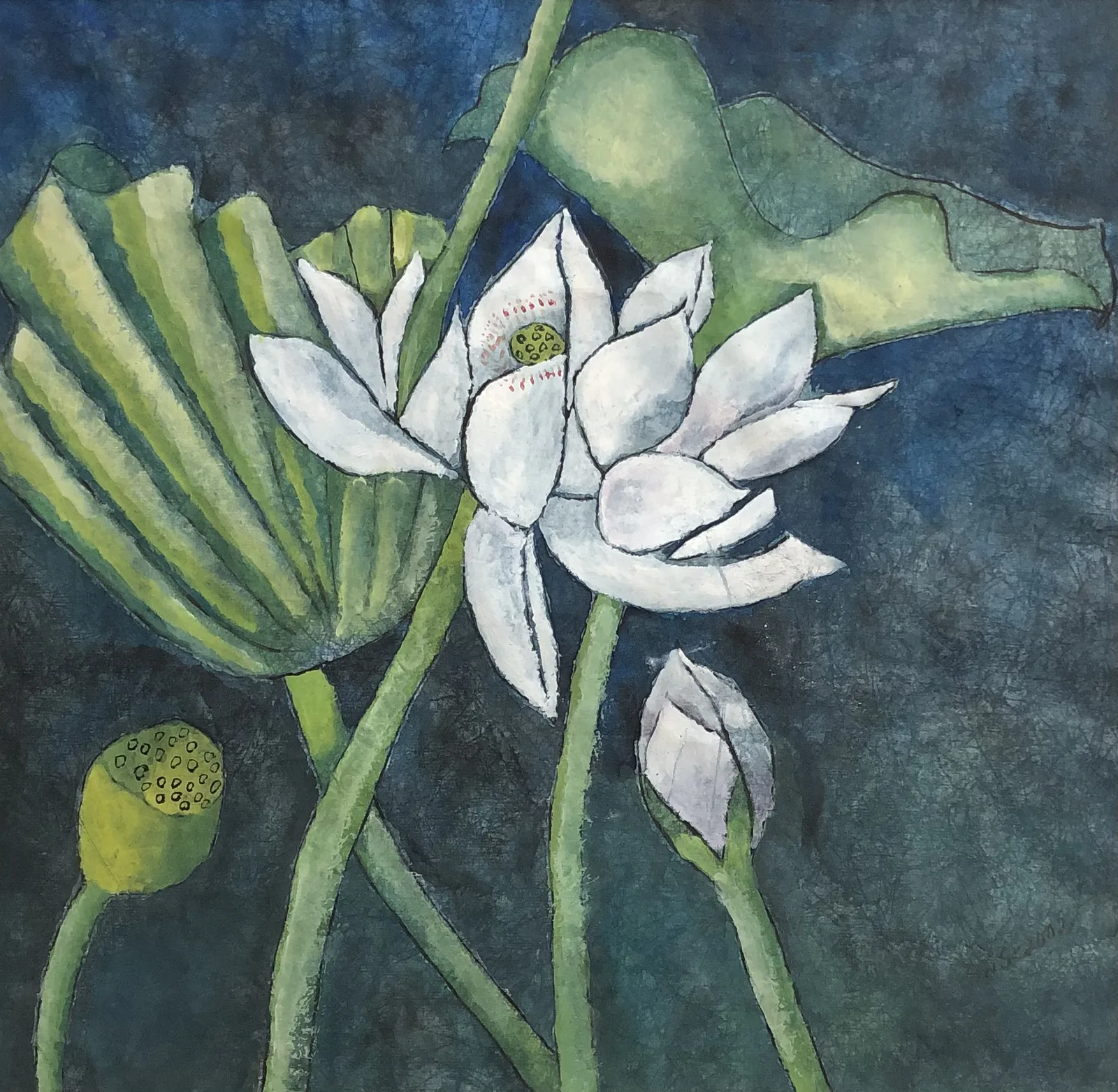 Näckros blomma #1 av Siv Sundell