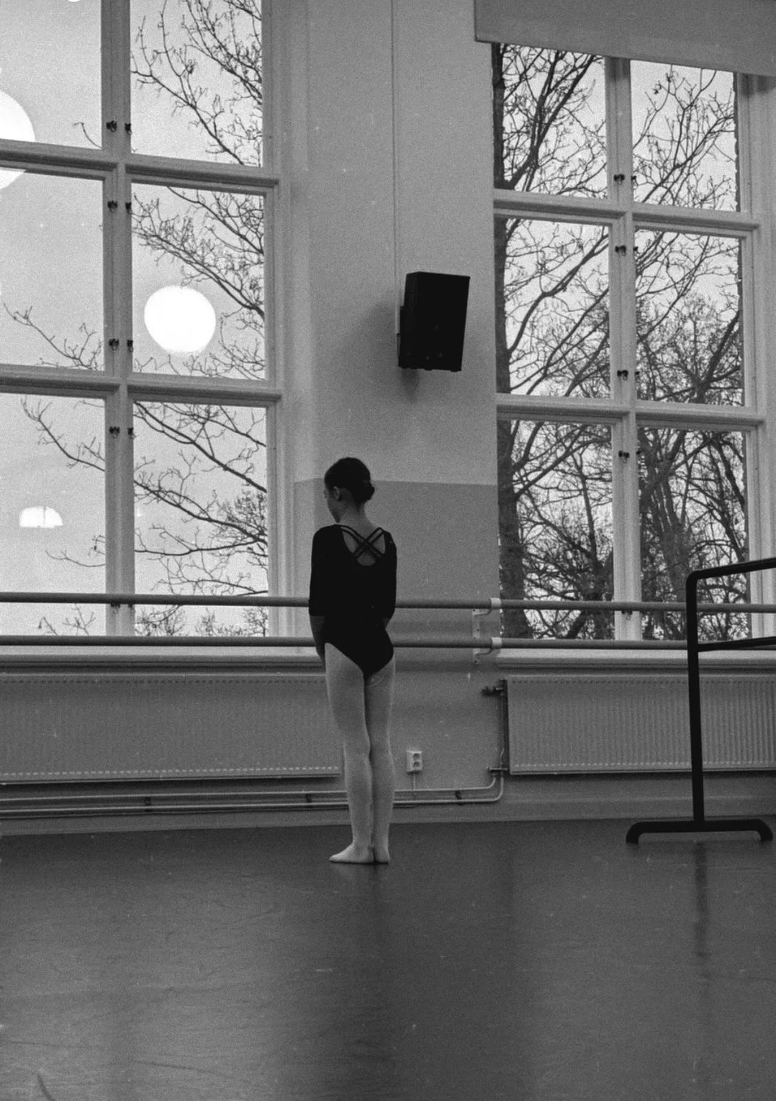 The ballerina av Viktorija Mirkov