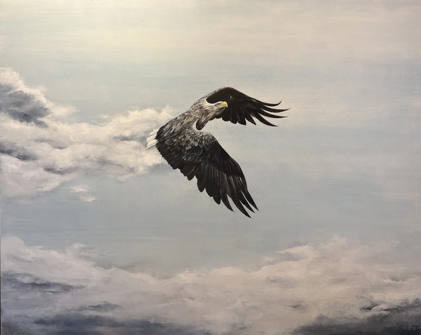 Oljemålning Gammal havsörn av Caroline Berg