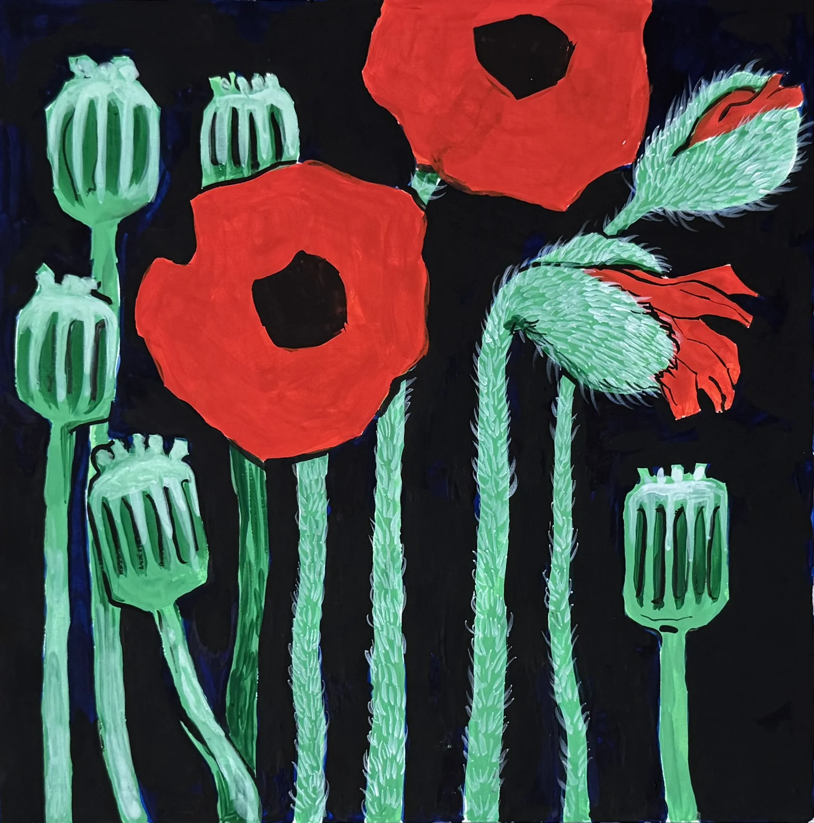 Vallmo blommor på svart av Ekaterina Dutkevich