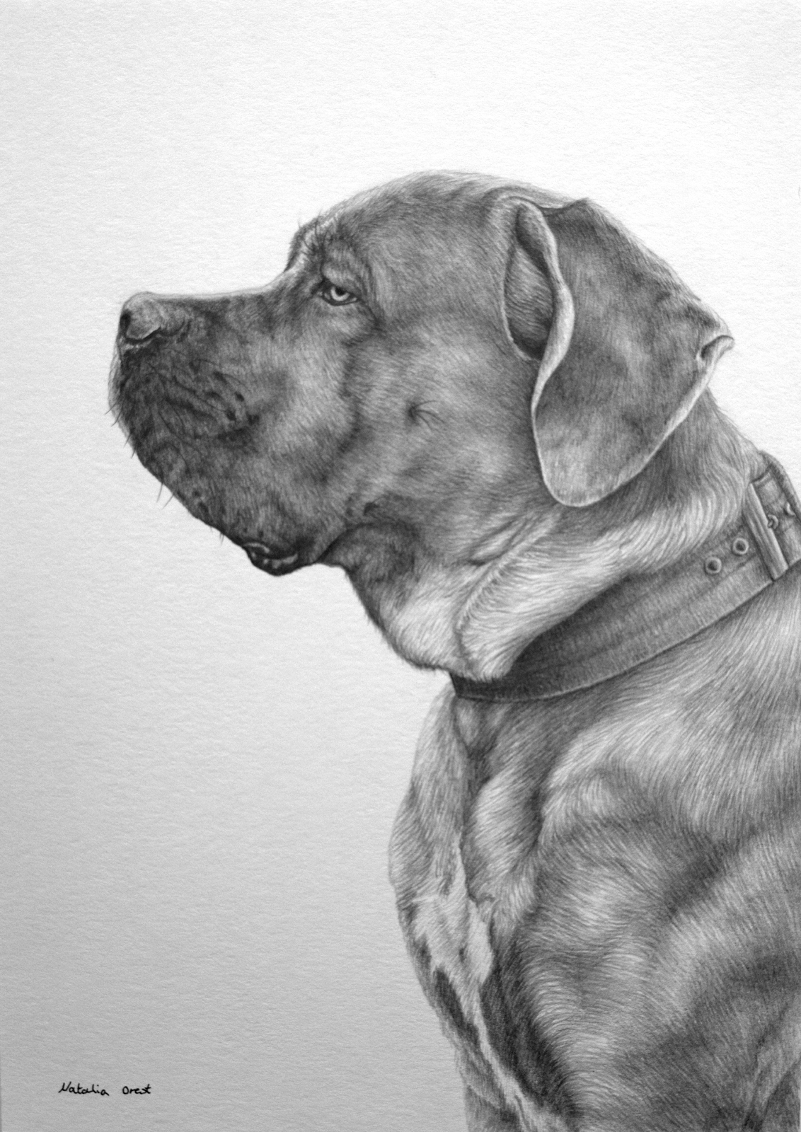 A4 portrait example av Natalia Orest