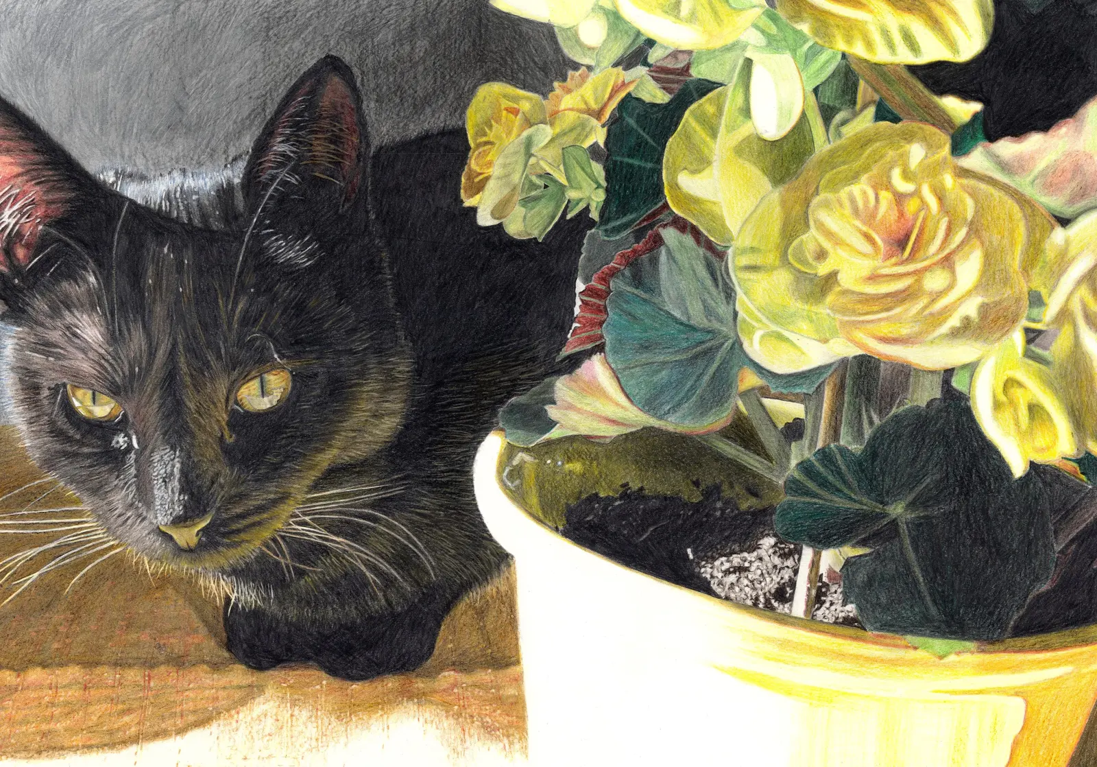 Signe på köksbordet av Anders Haglund