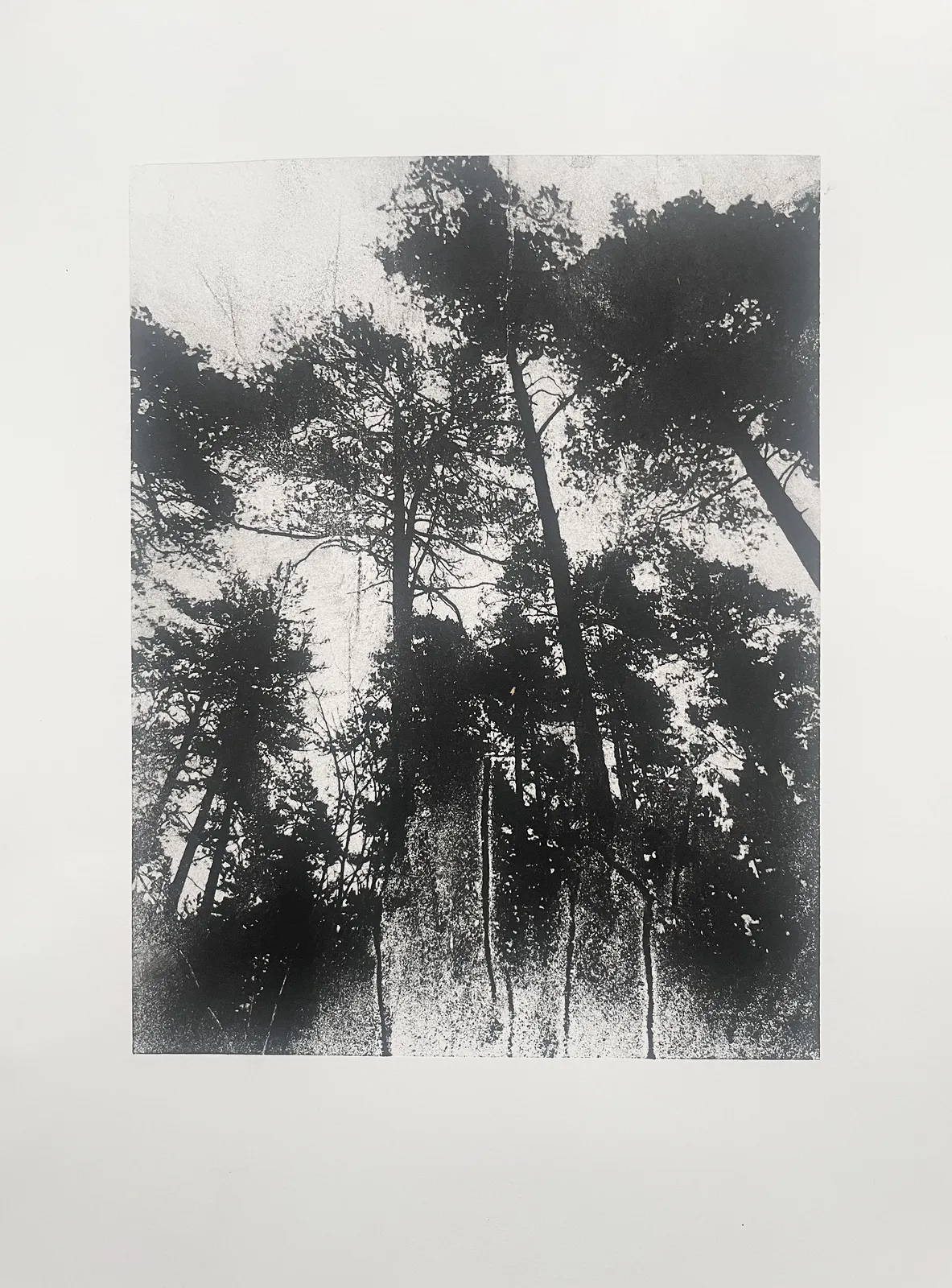 Oljemålning Woodtree av Ann Hjers
