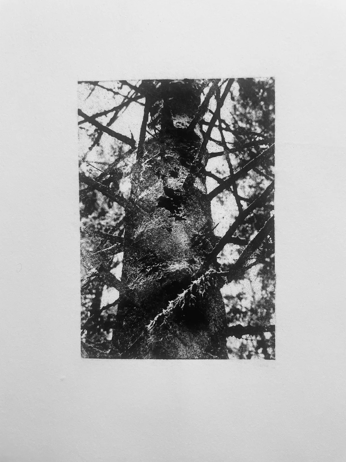 Oljemålning Stamträd av Ann Hjers