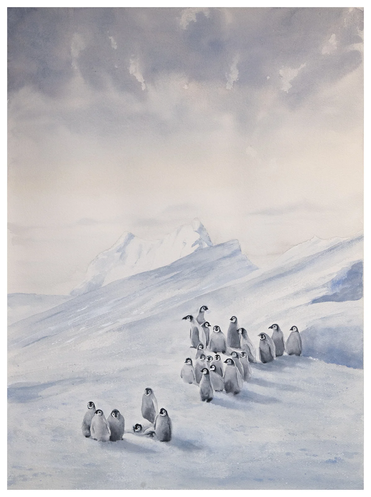 Akvarell 26 baby penguins av Mattias Norén
