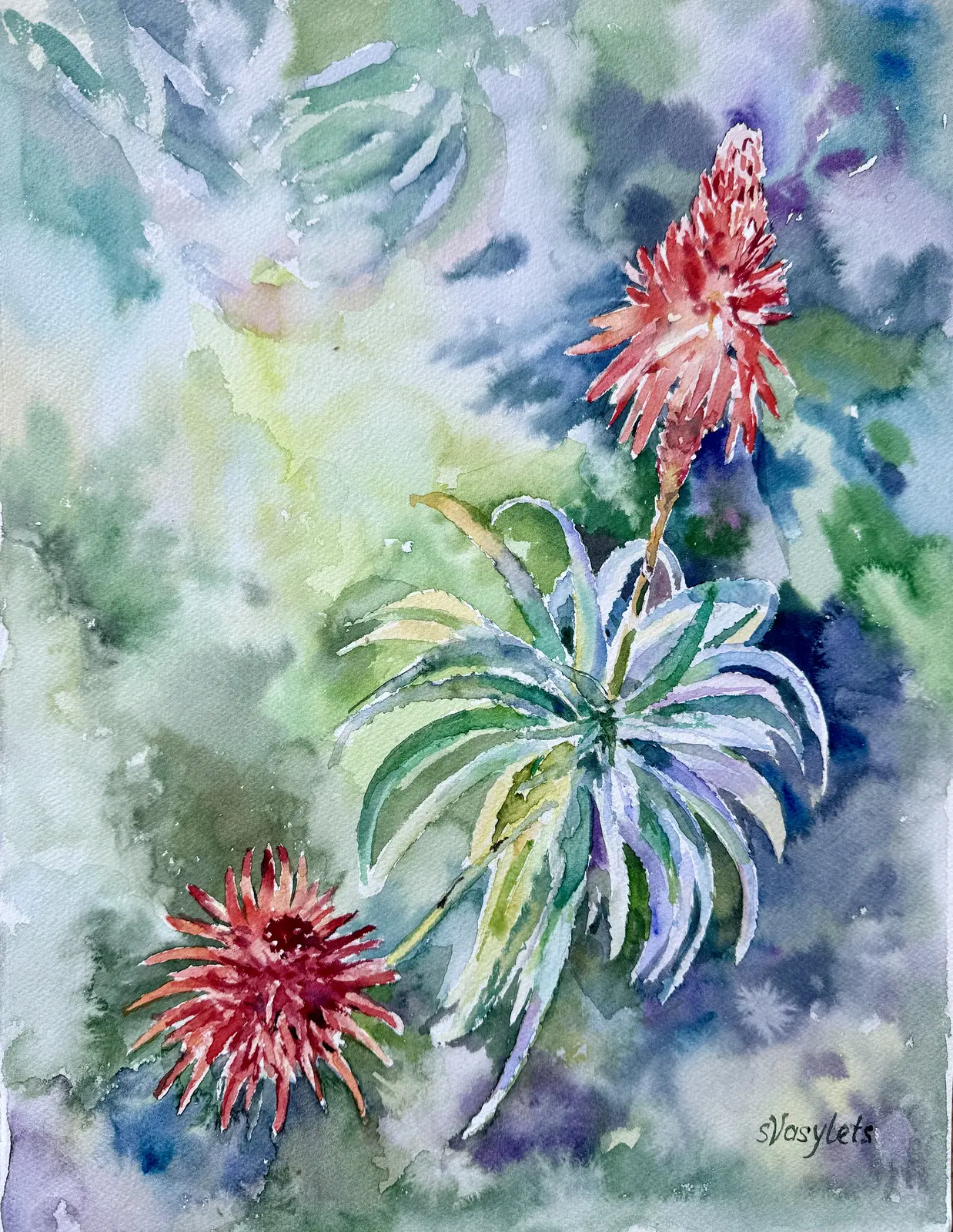 Akvarell Blommande aloe av Svitlana Vasylets