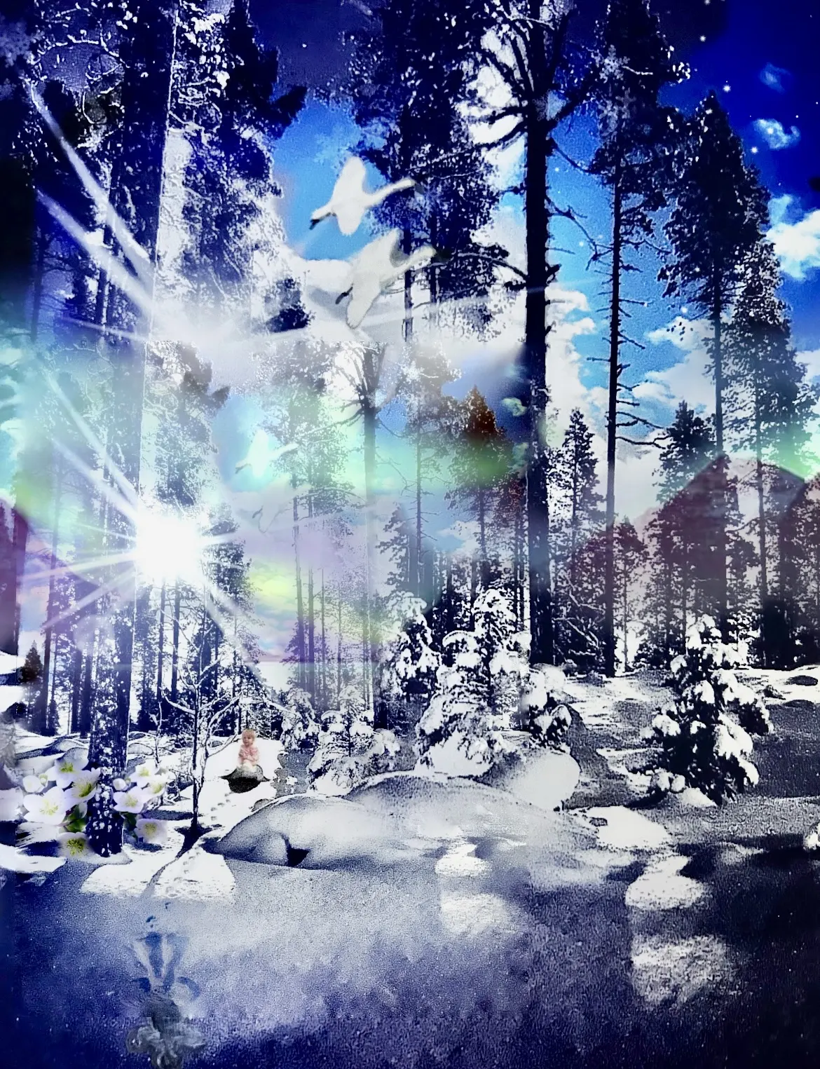 Vestigia Aurorae-Gryningens spår av Susanne Lovén