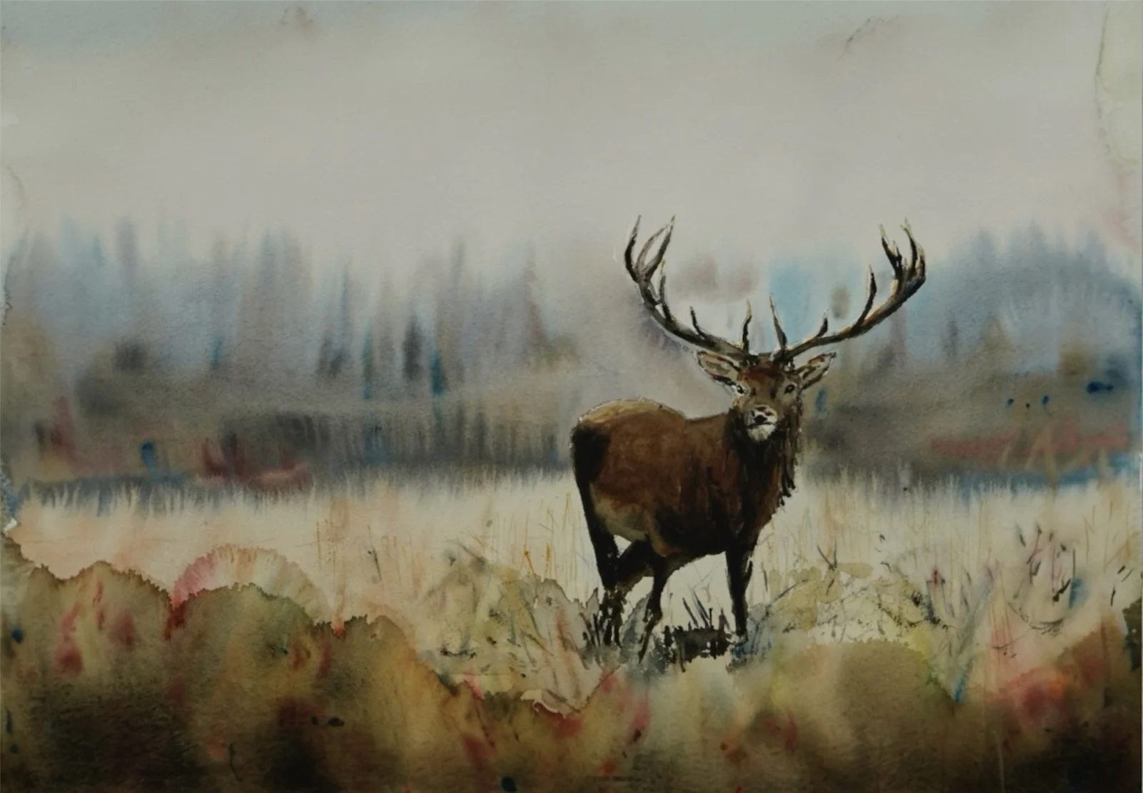 Akvarell Kron på torven av Martin Hartmann