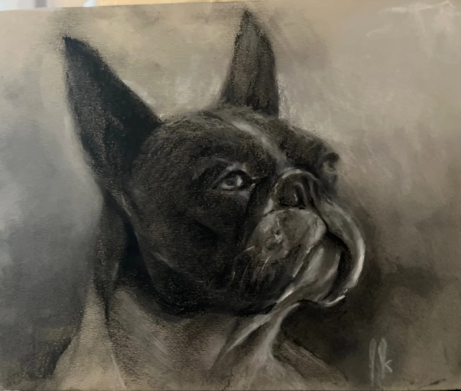 Boston Terrier av Joe Jersak