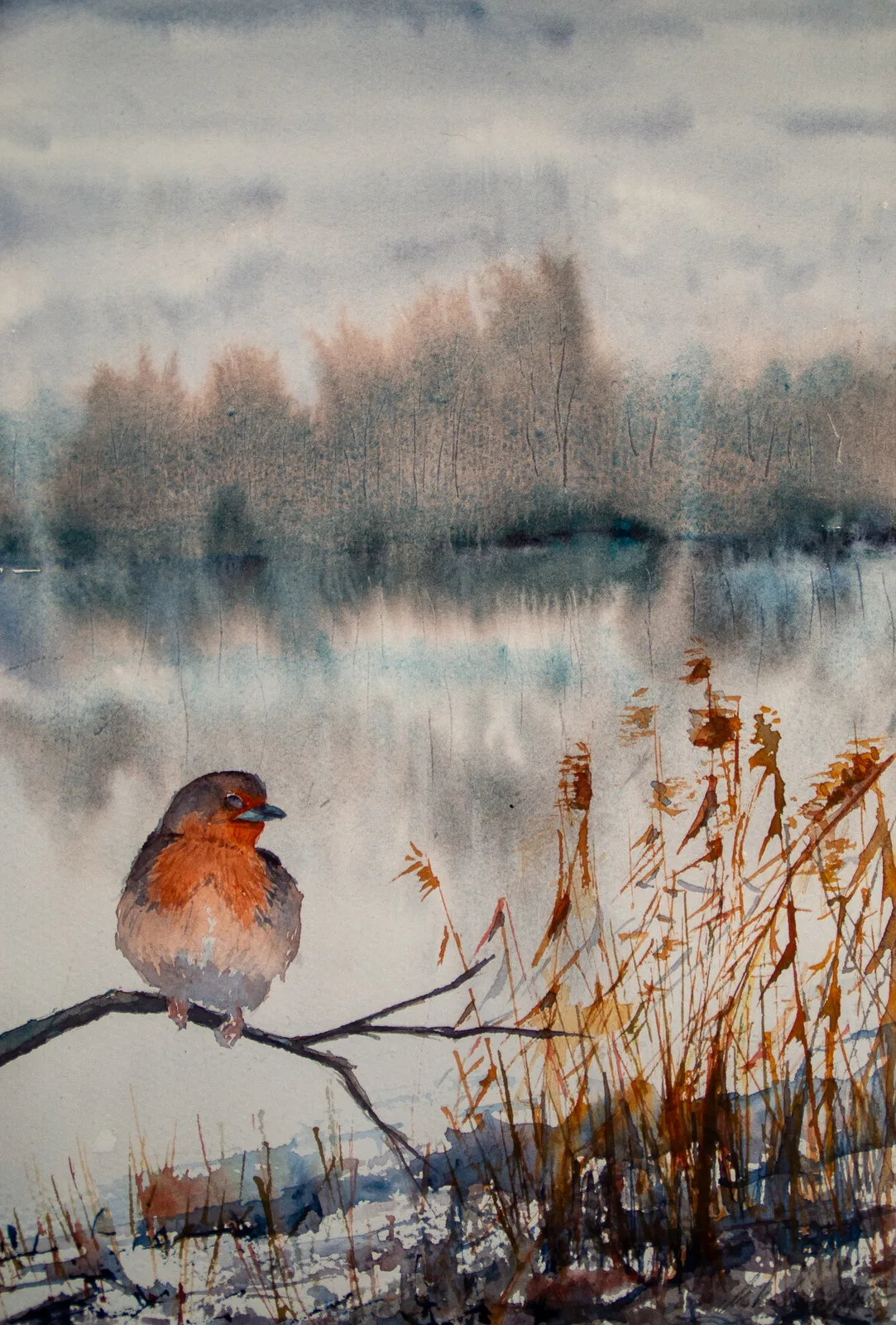 Akvarell Rödhake i vinterlandskap av Mikael Weddfelt