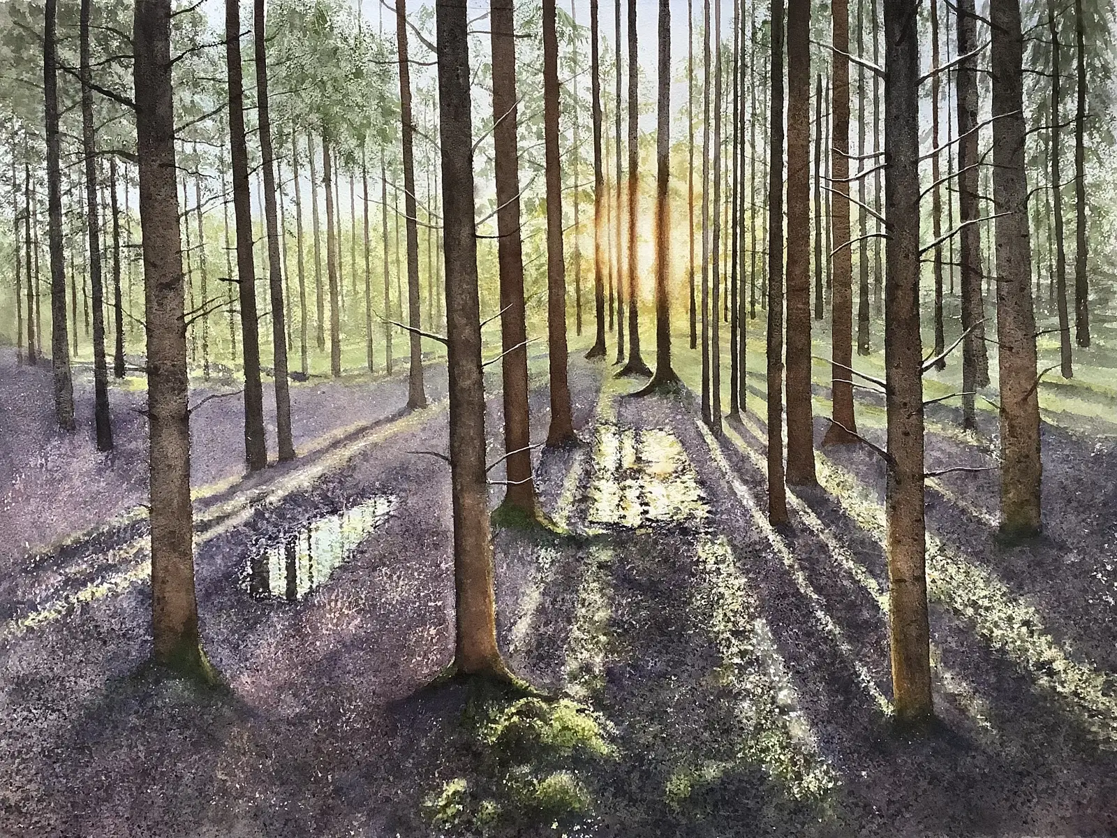 Akvarell Illuminated forest av Jeanette Malmberg