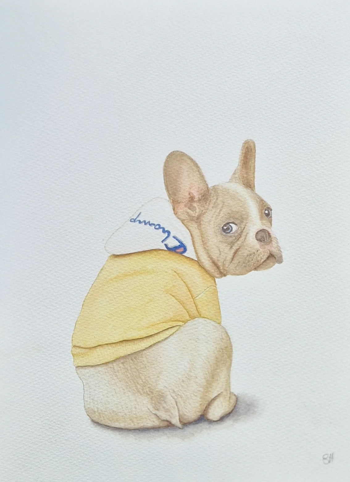 Akvarell Vem, jag? Fransk bulldog no1 av Susanne Hagemark