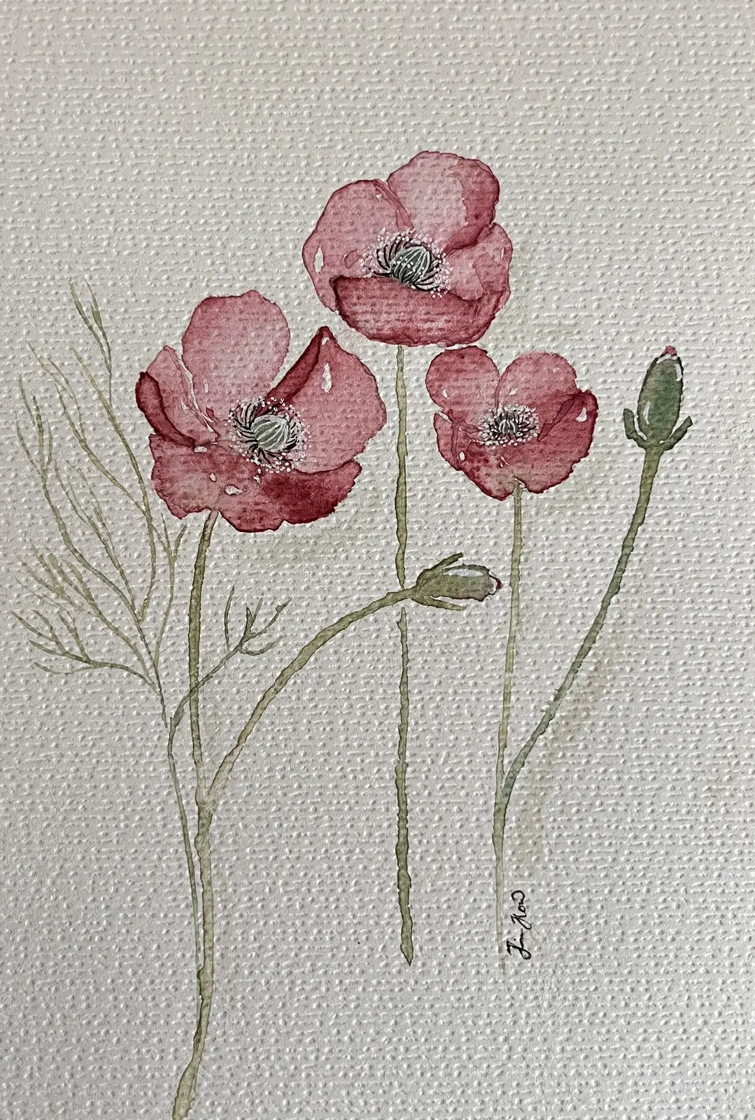 Vallmo av Jessica Paintbyhowsan