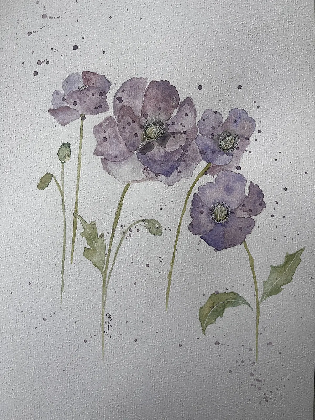 Lila vallmo av Jessica Paintbyhowsan