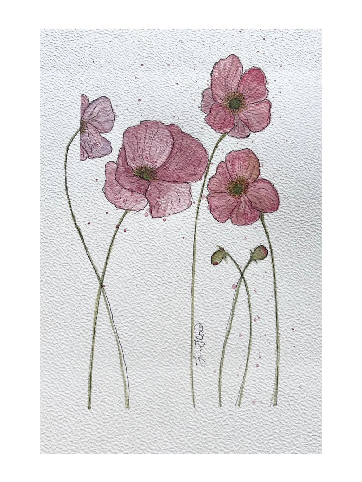 Akvarell Vallmo av Jessica Paintbyhowsan