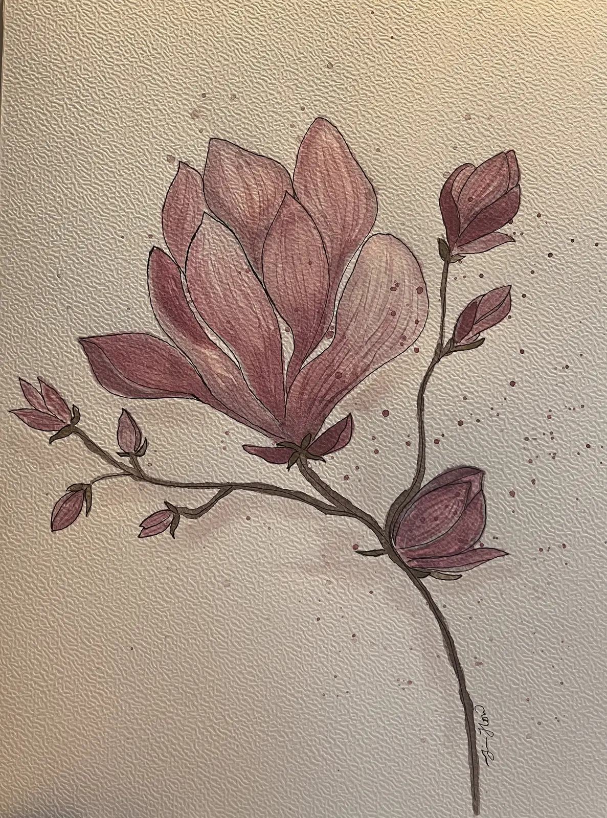 Akvarell Magnolia av Jessica Paintbyhowsan