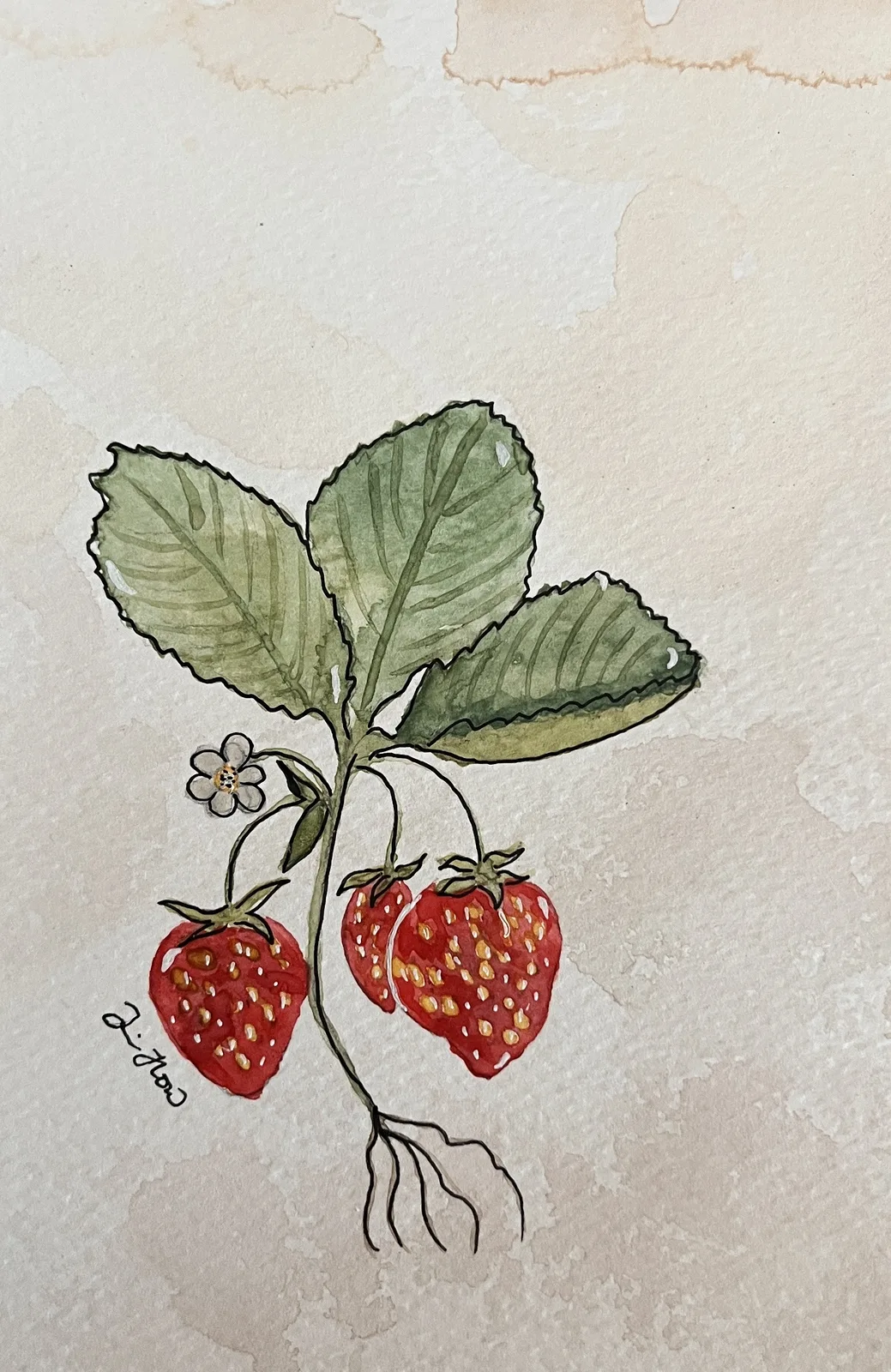 Akvarell Jordgubbar av Jessica Paintbyhowsan
