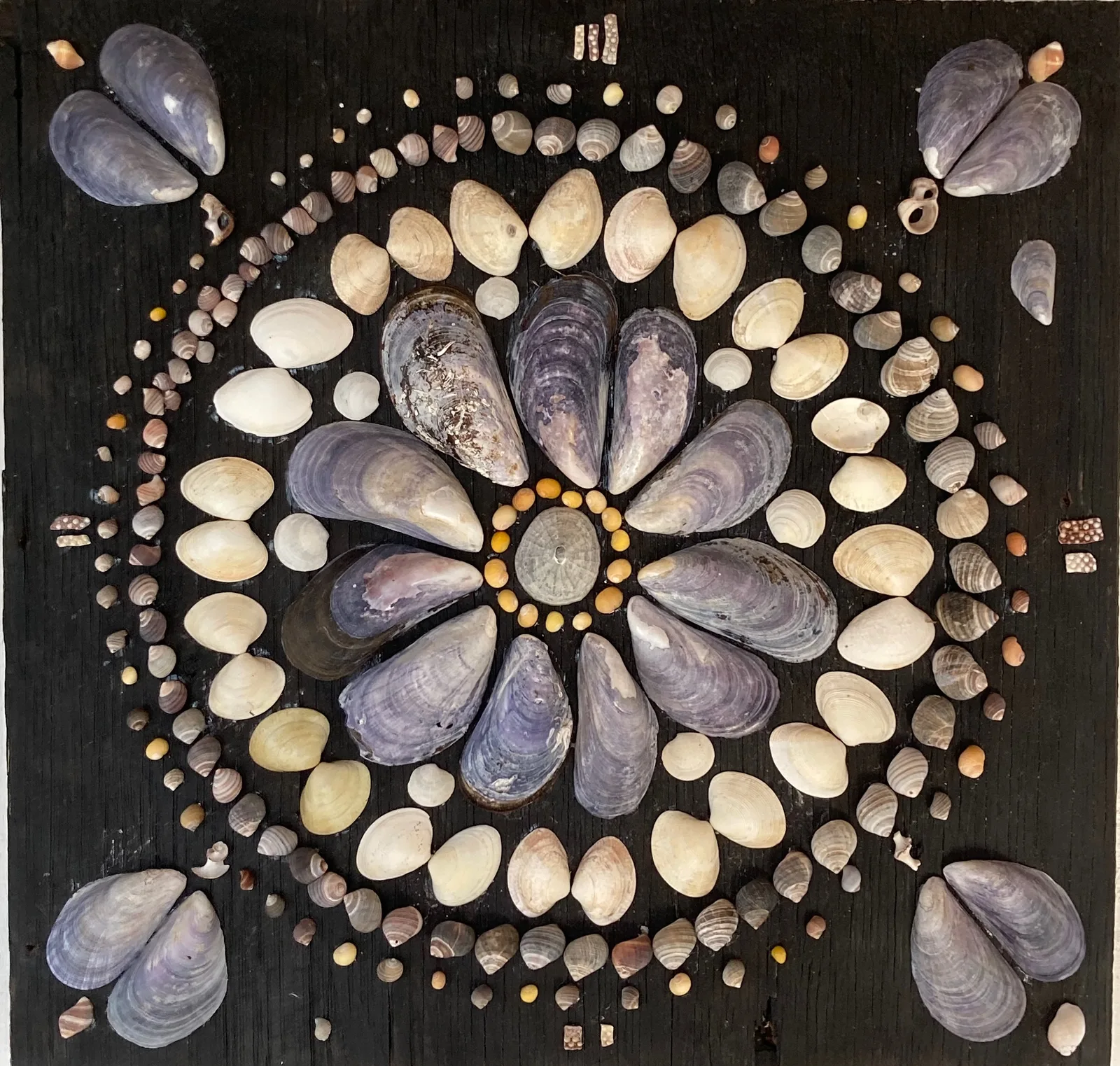 Mandala av snäckor och musslor av Nina Romanus