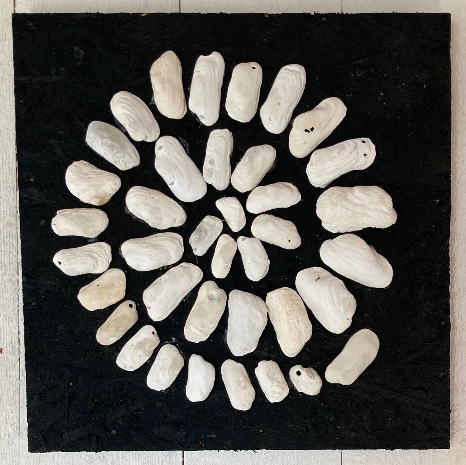 Mandala av snäckor och musslor av Nina Romanus