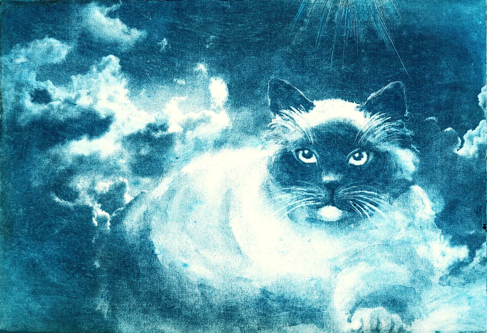 Himlakatt av Marita Bergström