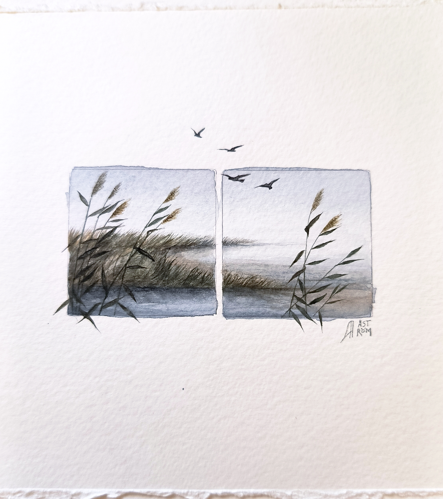 Akvarell Wind av Anna Åström