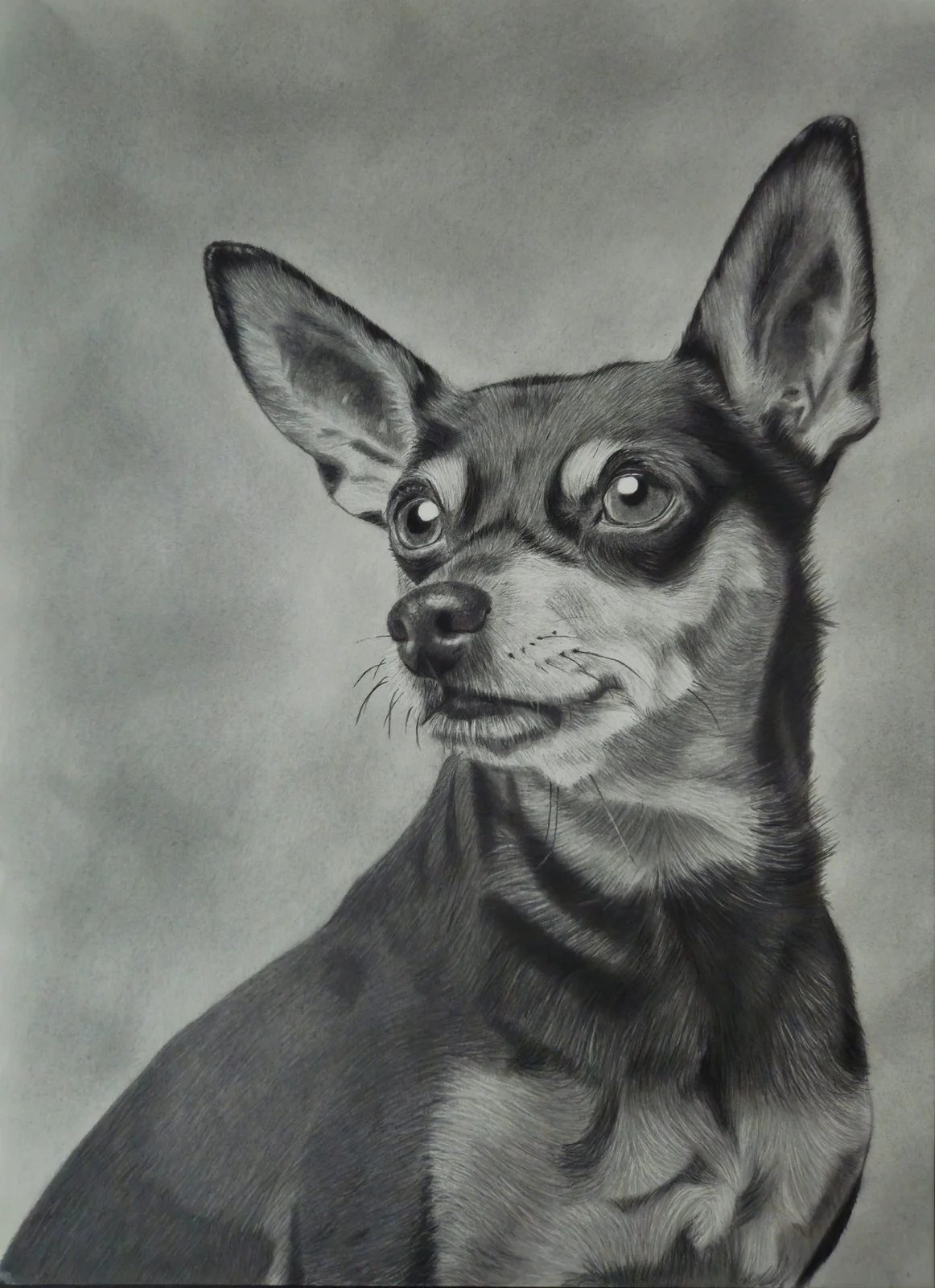 Utan krav av Gali Blyertskonst