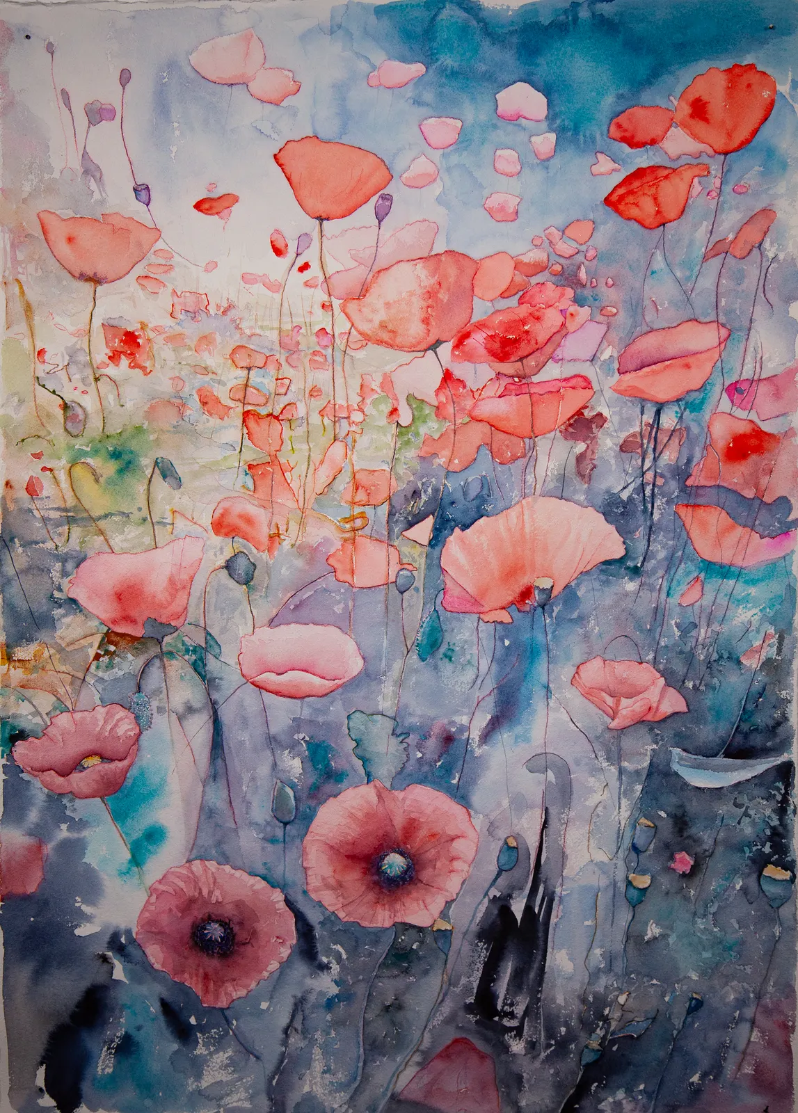 Akvarell Vallmo av Tobias Folkesson