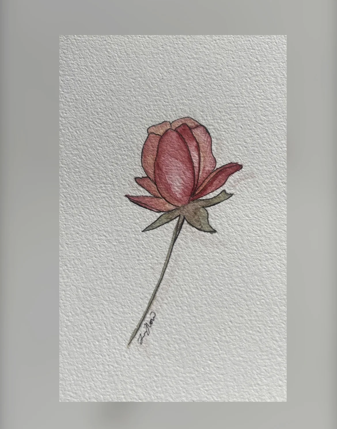 Akvarell Rosé av Jessica Paintbyhowsan