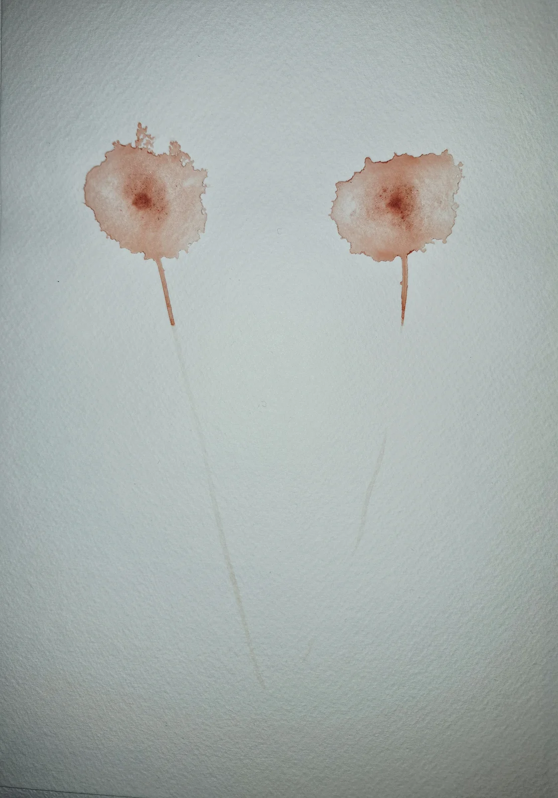 Akvarell Blomsterkroppar av Annelie Winebäck