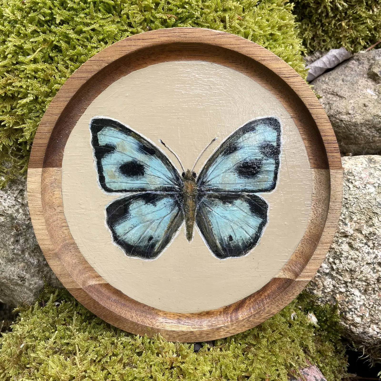 Akrylmålning Butterfly on acacia wood av Cicilia Postma