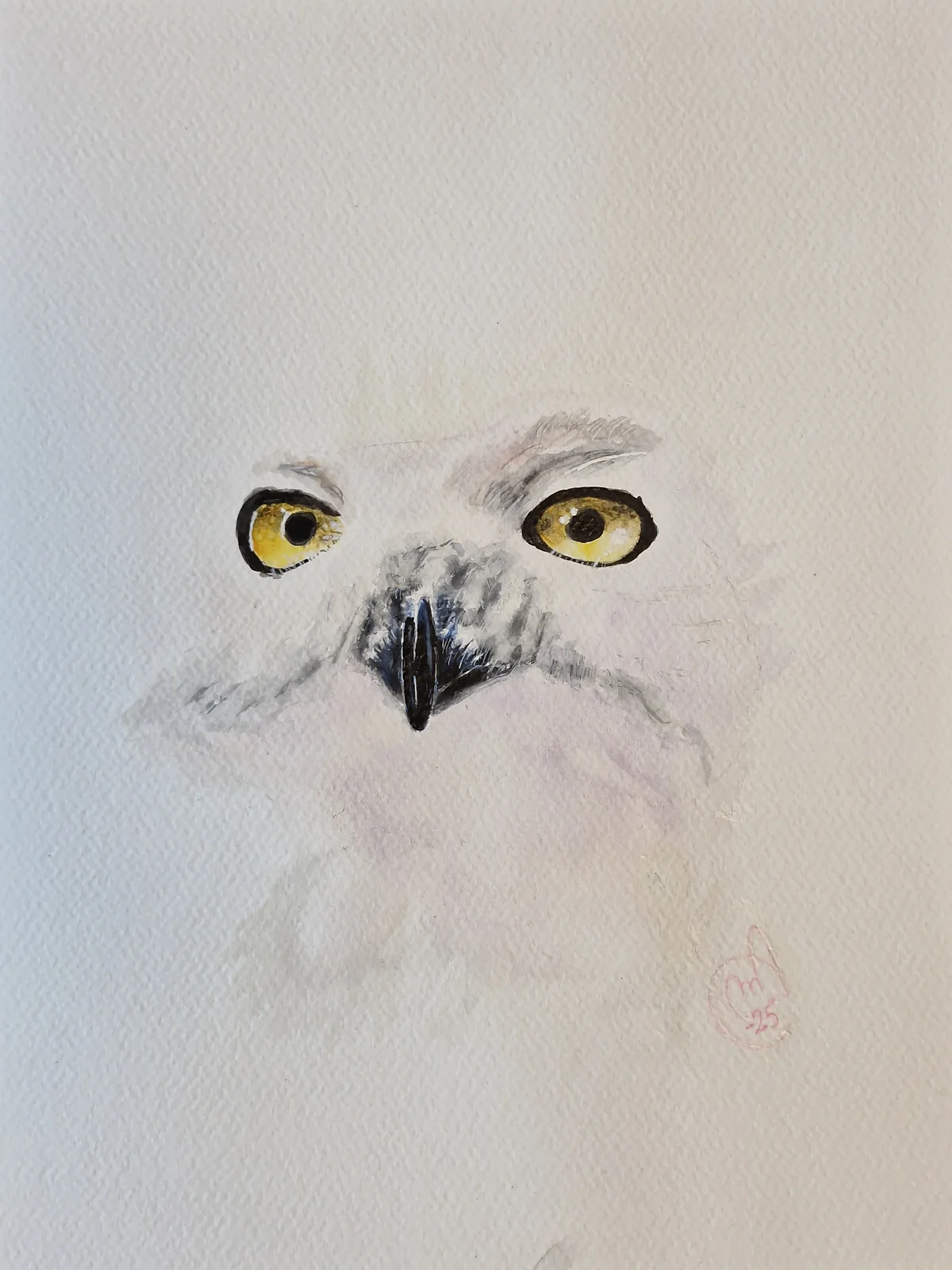 Akvarell Fjällugglan Hedwig av Max Jansson