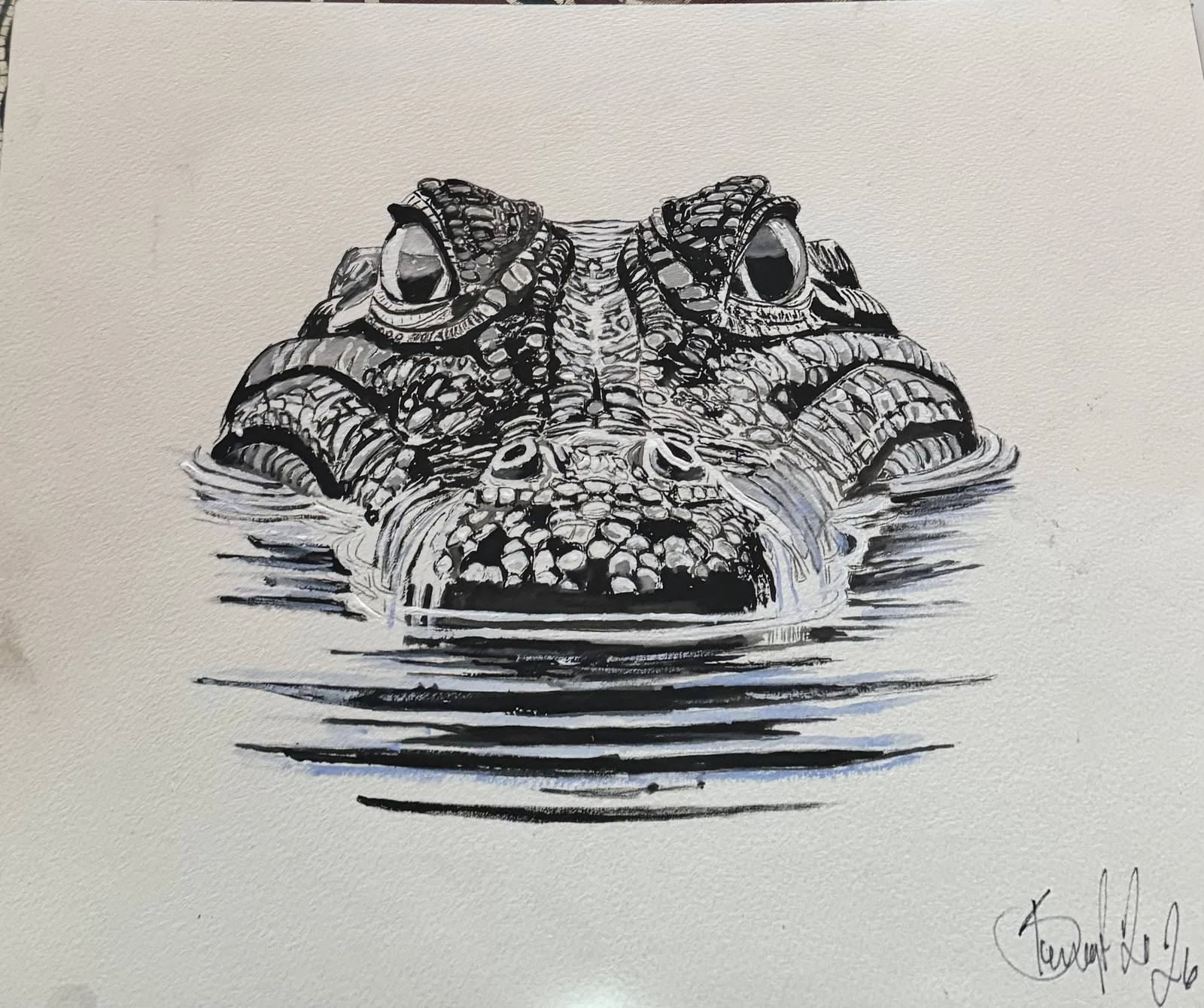 Alligator av Bengt Uusitalo