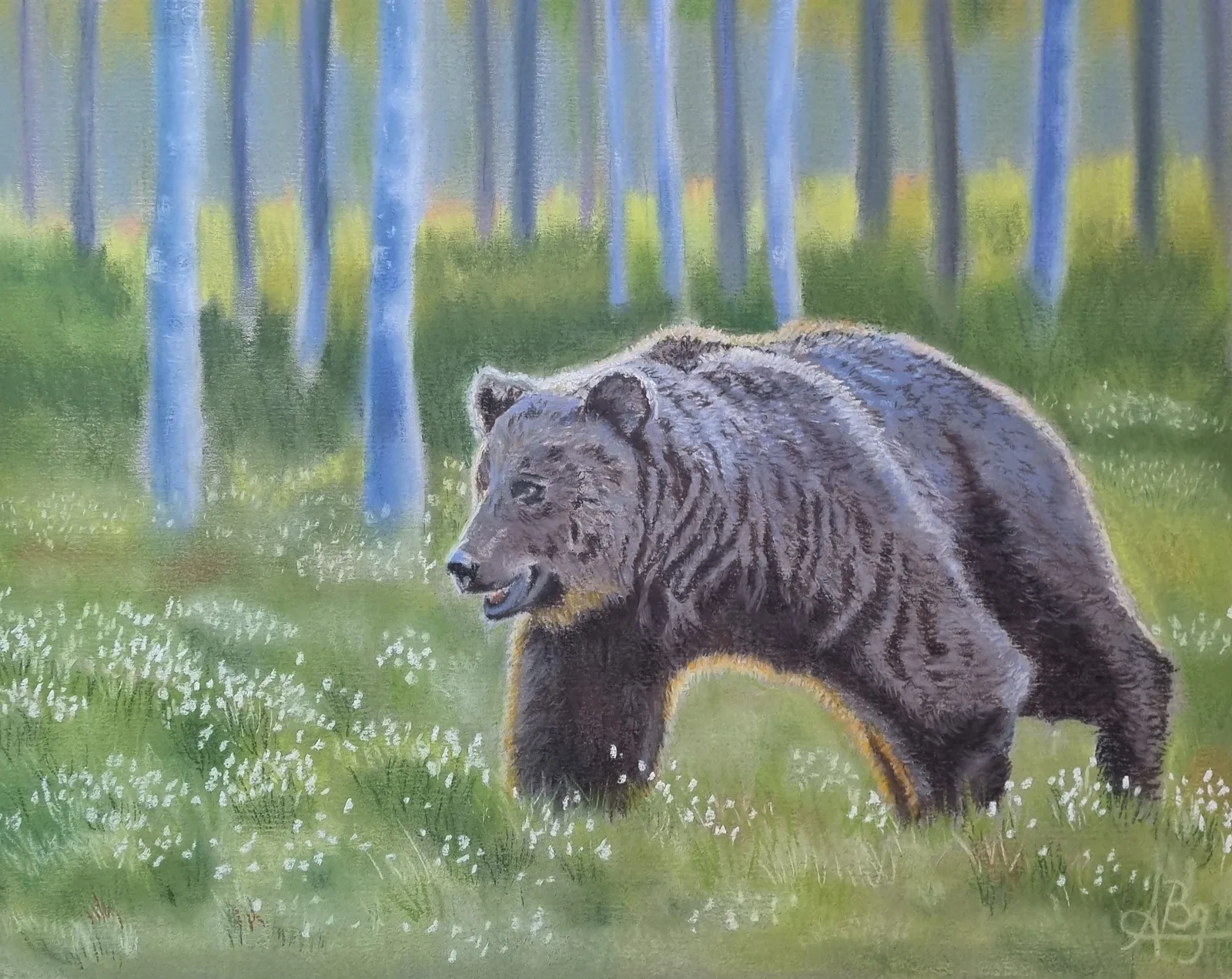 Björnen av Alicia Bremberg