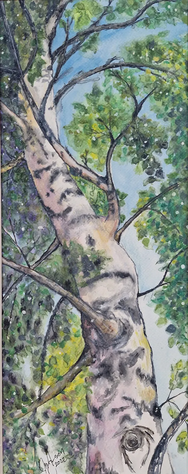 Akvarell Björkstam av Max Jansson