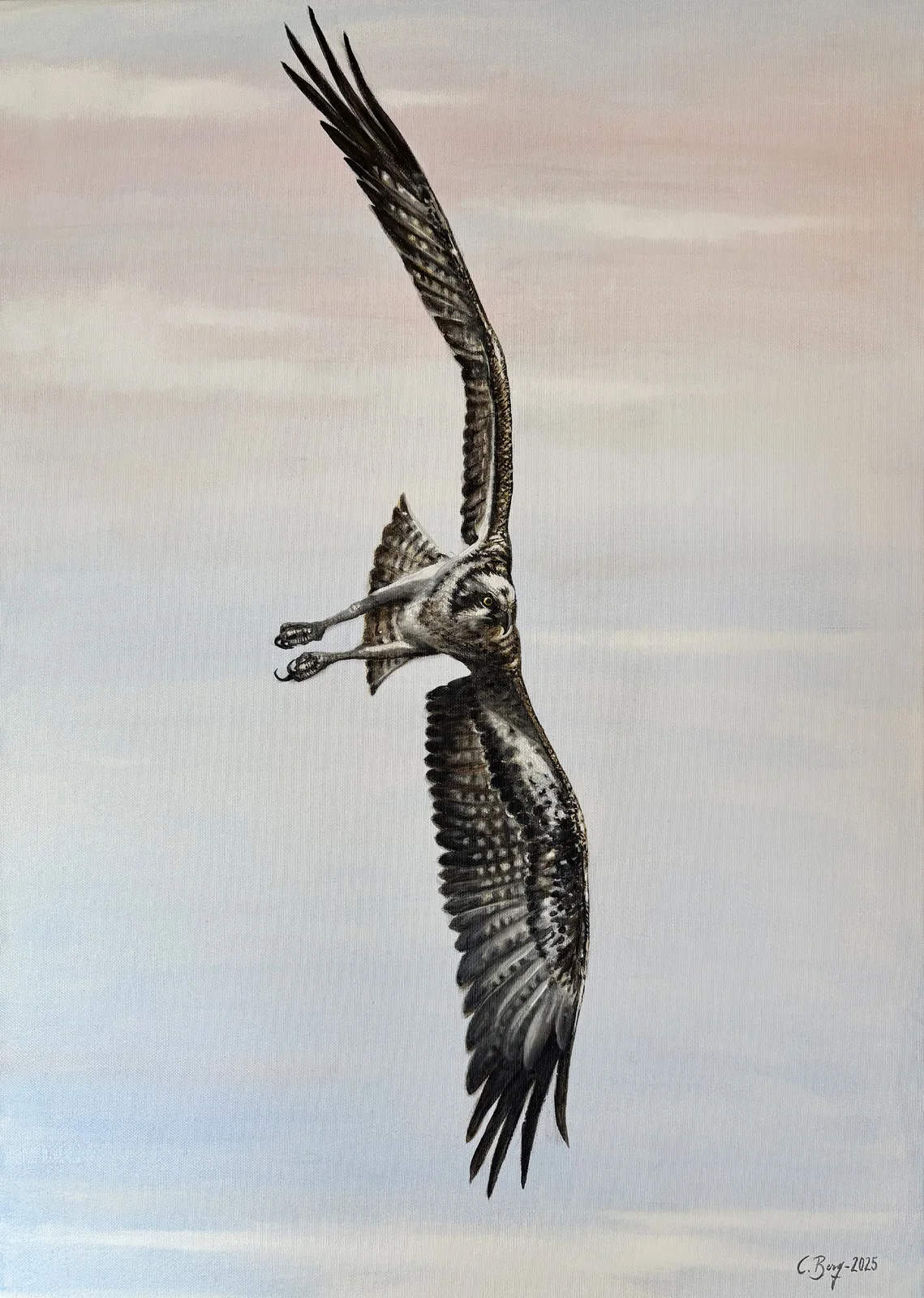 Oljemålning Fiskgjuse av Caroline Berg