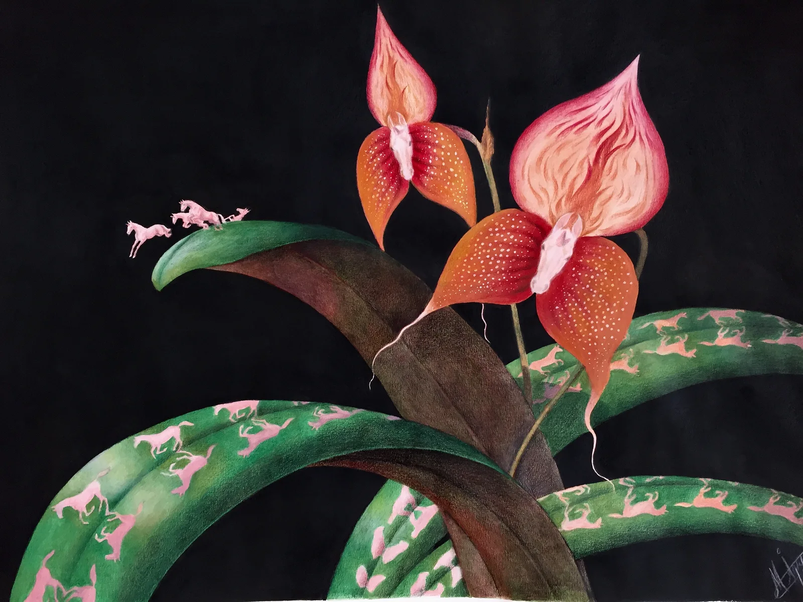 Equus x Orchideaceae Adolescens av Marica Ågren Hagblad