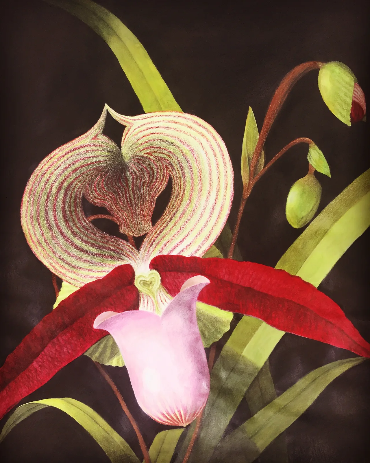 Equus x Orchideaceae II av Marica Ågren Hagblad