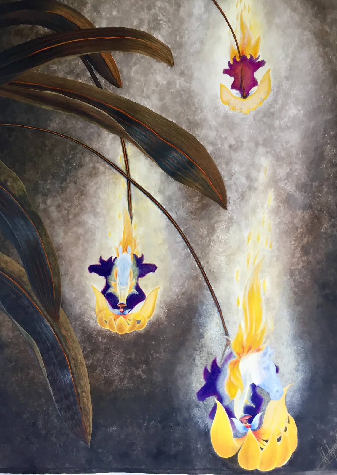 Equus x Orchideaceae XII-Ignis av Marica Ågren Hagblad