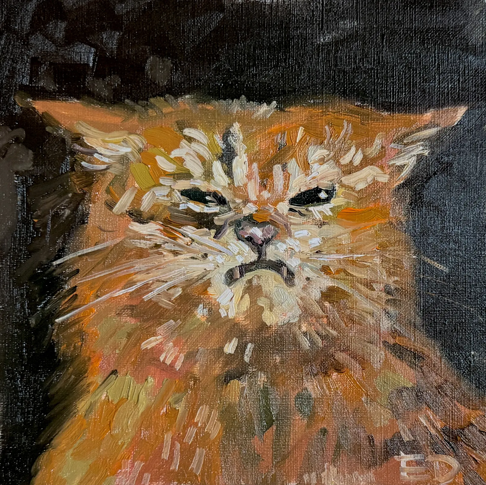 Oljemålning Katten av Ekaterina Dutkevich