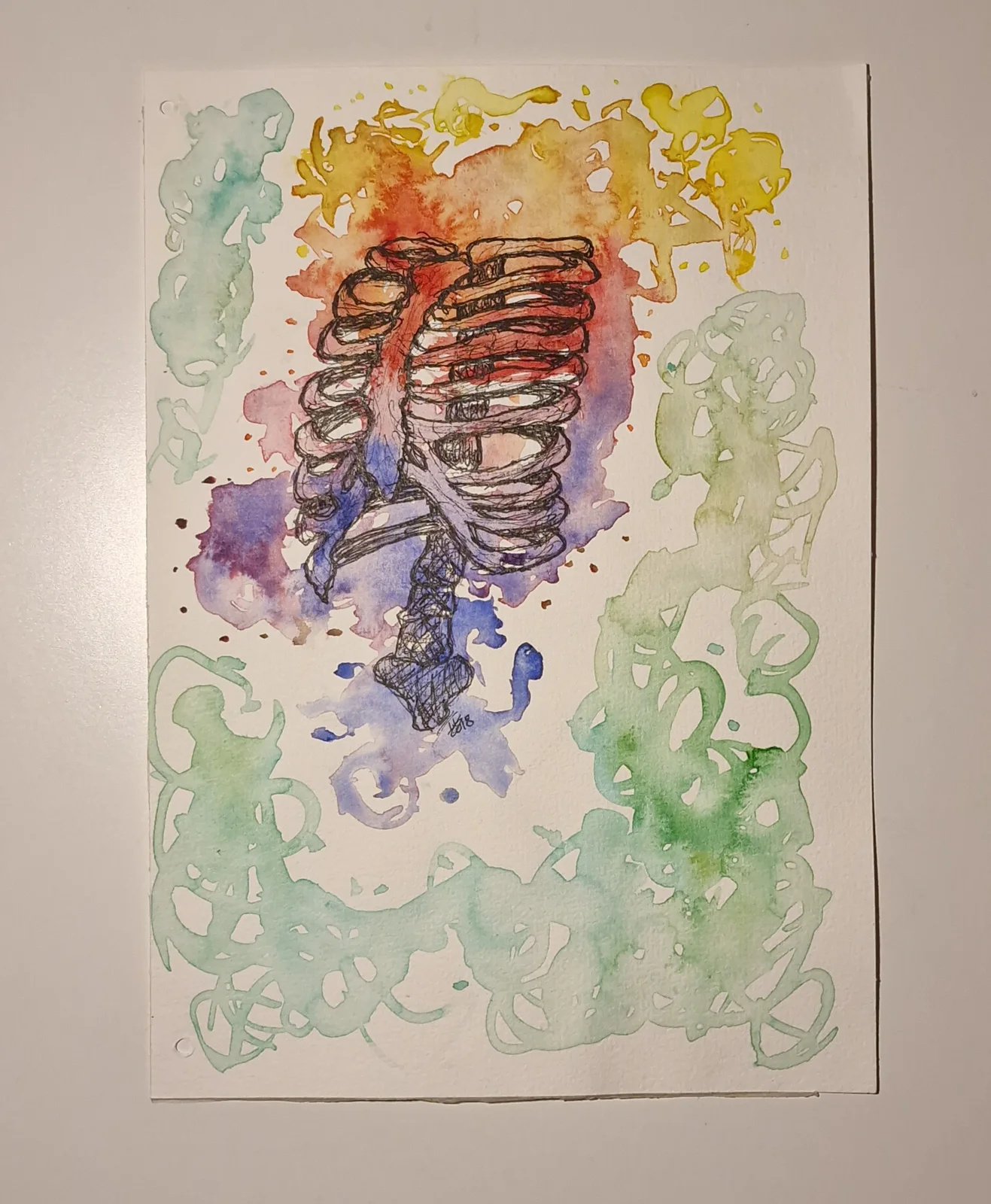Akvarell Colorful ribs av Irina Nygren Zethraeus