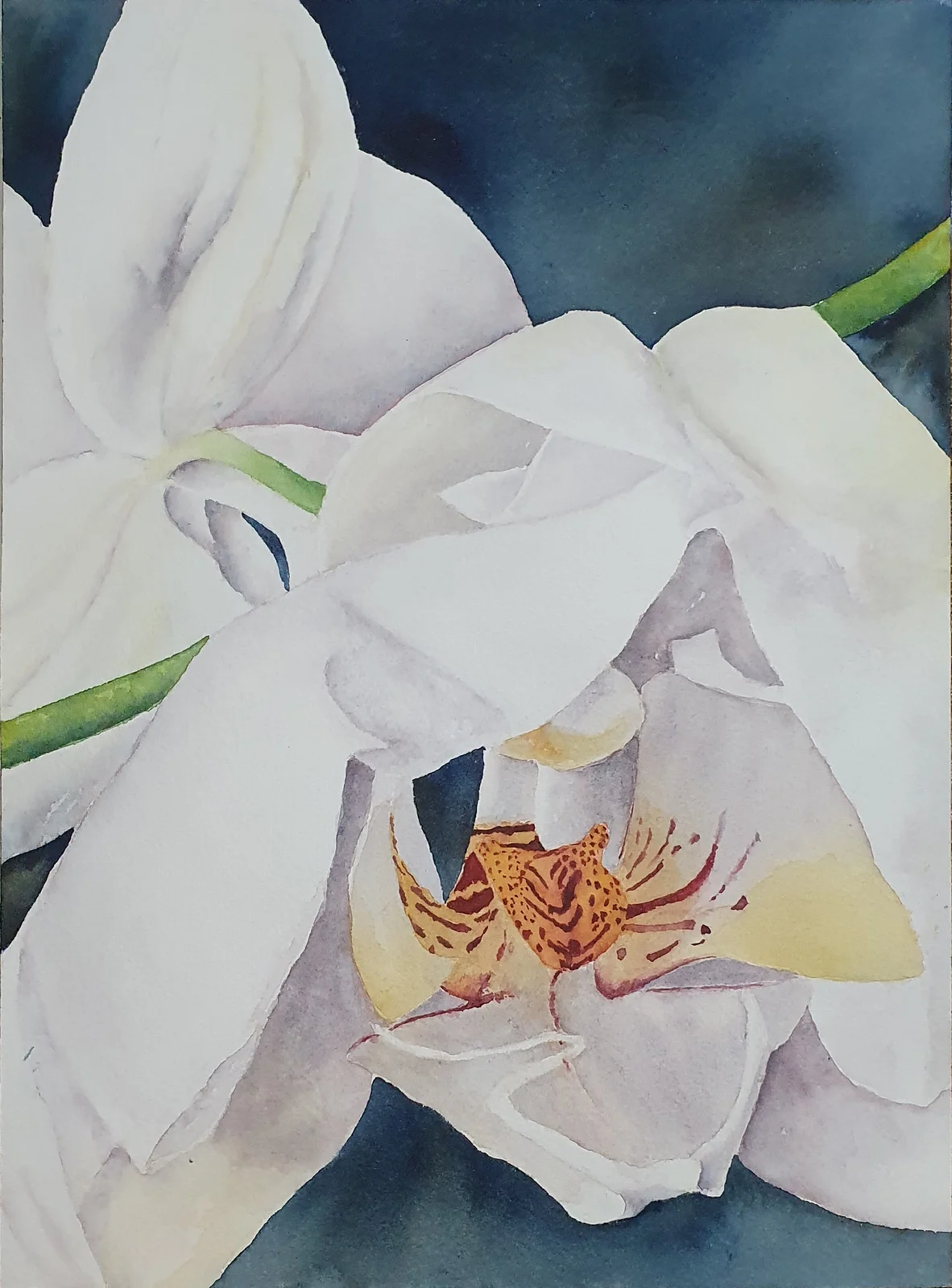 Akvarell av Camilla Blom