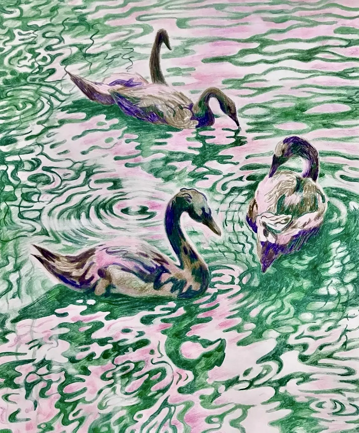 Swans av Li Loomis