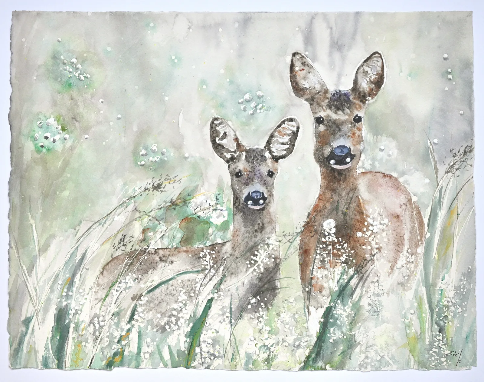 Akvarell Rådjuren smyger fram av Cécile Hansson
