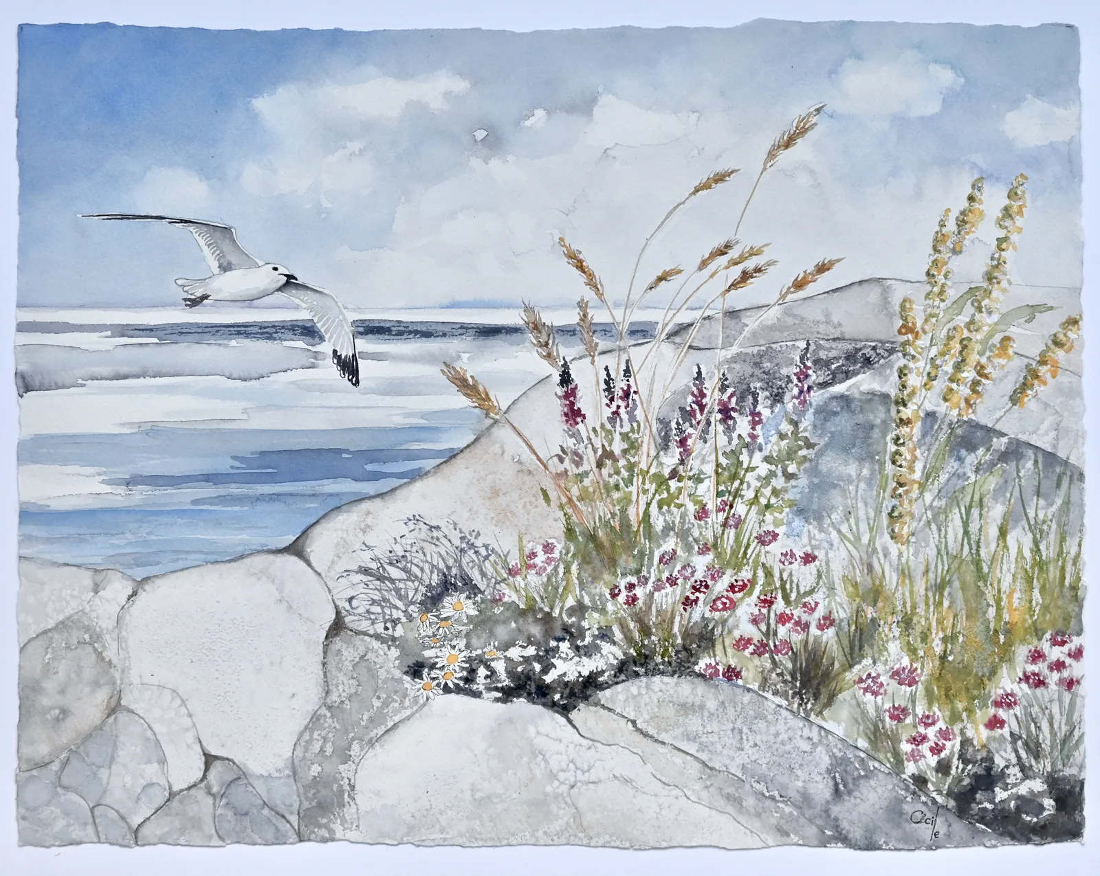 Akvarell Blomster i Skärgården av Cécile Hansson