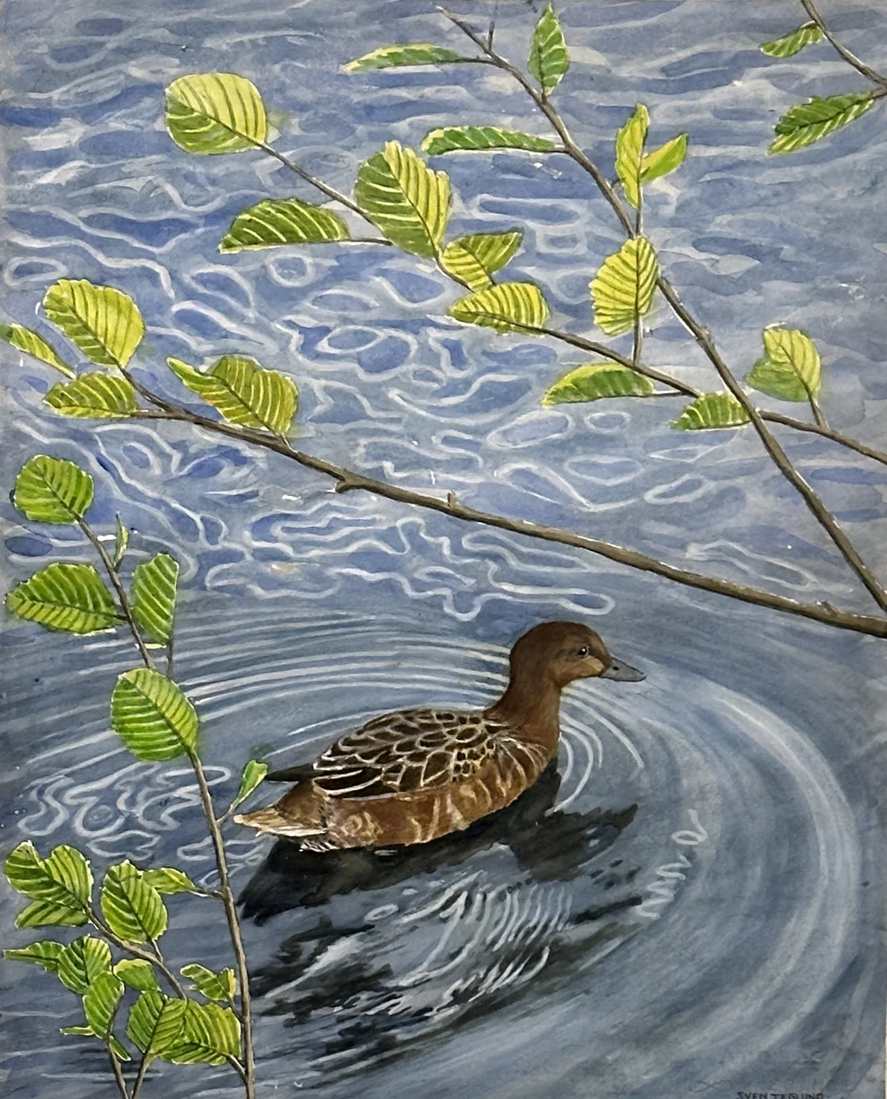 Akvarell The And av Sven Teglund