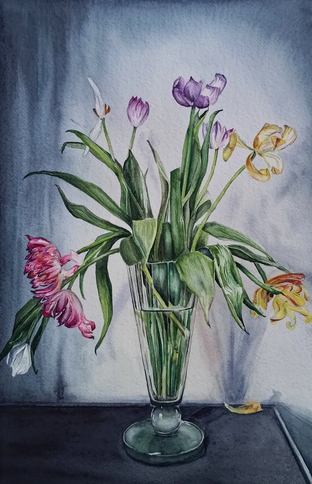 Akvarell Tulpaner av Anna Löfstrand