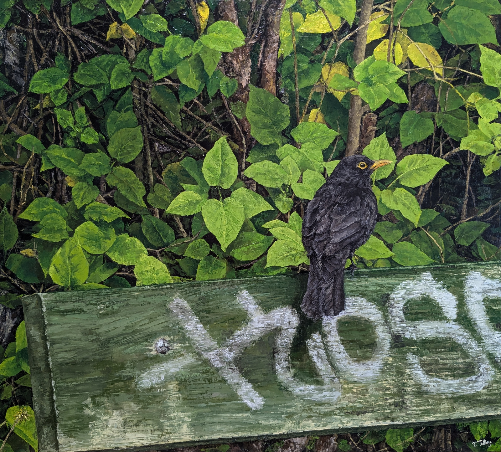 Oljemålning Koltrast av Tarek Tallberg