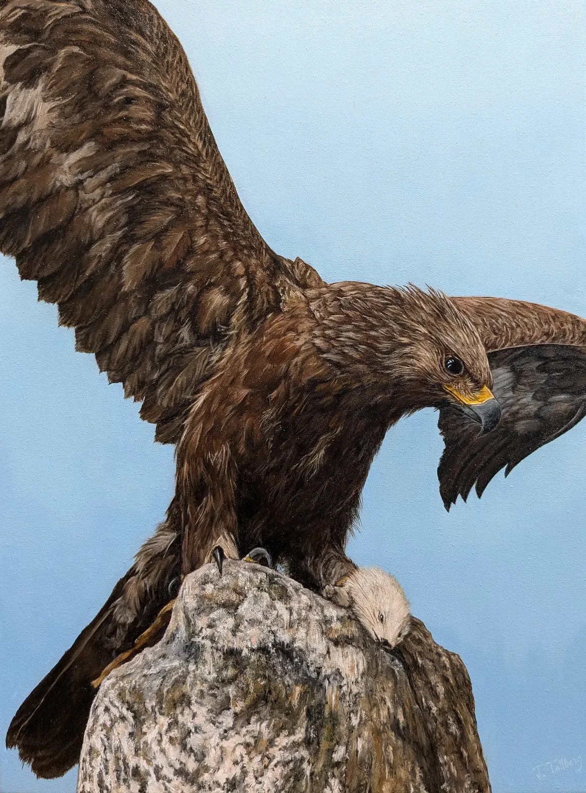 Oljemålning Örn av Tarek Tallberg
