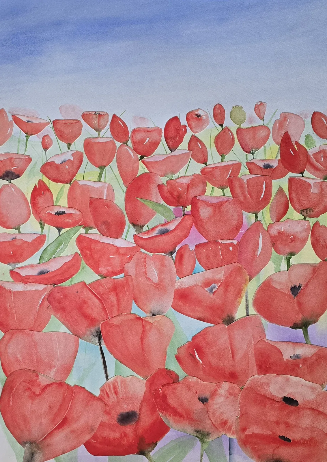 Akvarell Vallmo av Anita Lindgren